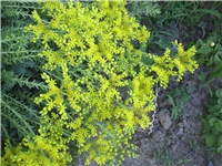 d5fd64e6-Picture 014.jpg